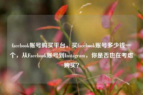 facebook帐号购买平台，买facebook账号多少钱一个，从Facebook账号到Instagram，你是否也在考虑购买？