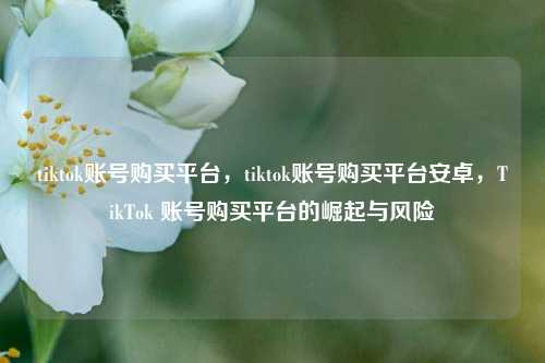 tiktok账号购买平台，tiktok账号购买平台安卓，TikTok 账号购买平台的崛起与风险