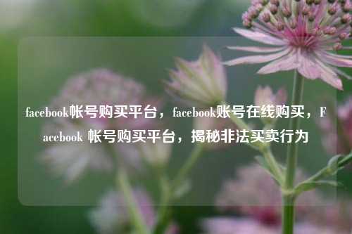 facebook帐号购买平台，facebook账号在线购买，Facebook 帐号购买平台，揭秘非法买卖行为