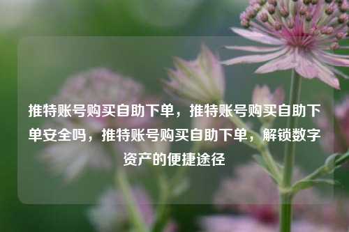 推特账号购买自助下单，推特账号购买自助下单安全吗，推特账号购买自助下单，解锁数字资产的便捷途径