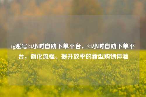 tg账号24小时自助下单平台，24小时自助下单平台，简化流程、提升效率的新型购物体验
