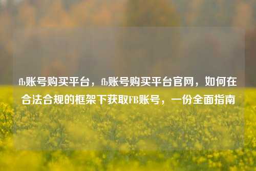 fb账号购买平台，fb账号购买平台官网，如何在合法合规的框架下获取FB账号	，一份全面指南  第1张