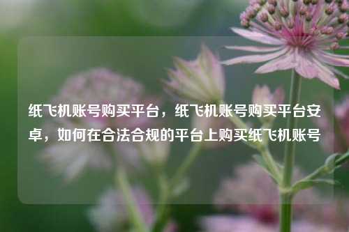 纸飞机账号购买平台	，纸飞机账号购买平台安卓，如何在合法合规的平台上购买纸飞机账号  第1张