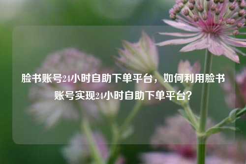脸书账号24小时自助下单平台，如何利用脸书账号实现24小时自助下单平台？