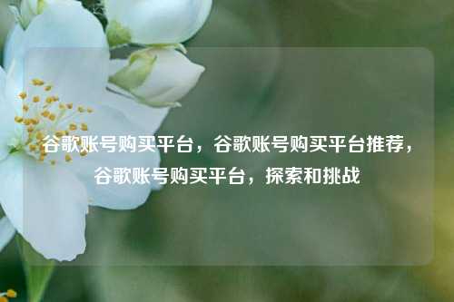 谷歌账号购买平台，谷歌账号购买平台推荐，谷歌账号购买平台，探索和挑战