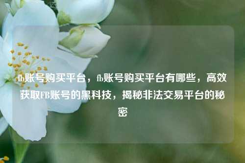 fb账号购买平台，fb账号购买平台有哪些，高效获取FB账号的黑科技，揭秘非法交易平台的秘密
