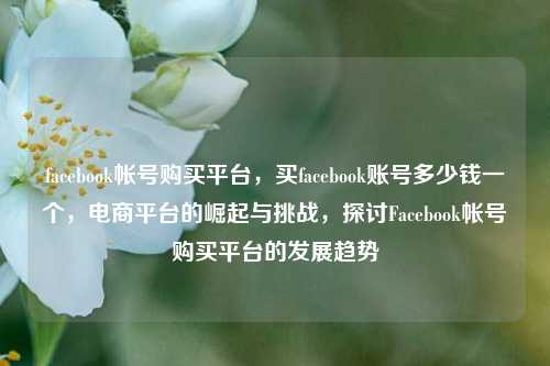 facebook帐号购买平台，买facebook账号多少钱一个，电商平台的崛起与挑战，探讨Facebook帐号购买平台的发展趋势