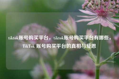 tiktok账号购买平台，tiktok账号购买平台有哪些，TikTok 账号购买平台的真相与反思