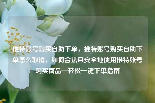 推特账号购买自助下单，推特账号购买自助下单怎么取消	，如何合法且安全地使用推特账号购买商品—轻松一键下单指南  第1张