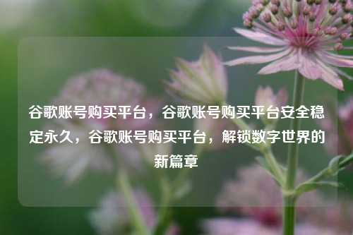 谷歌账号购买平台，谷歌账号购买平台安全稳定永久	，谷歌账号购买平台，解锁数字世界的新篇章  第1张