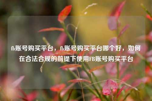 fb账号购买平台	，fb账号购买平台哪个好，如何在合法合规的前提下使用FB账号购买平台  第1张