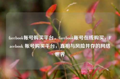 facebook帐号购买平台，facebook账号在线购买，Facebook 帐号购买平台，真相与风险并存的网络世界