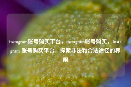 instagram账号购买平台，instagram帐号购买，Instagram 账号购买平台，探索非法和合法途径的界限