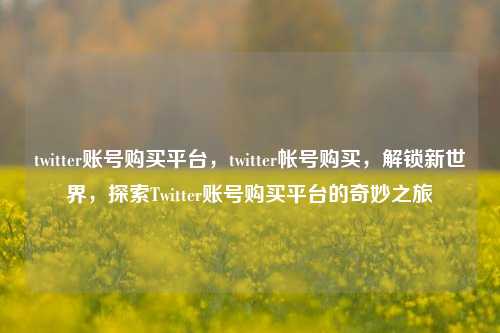 twitter账号购买平台，twitter帐号购买，解锁新世界，探索Twitter账号购买平台的奇妙之旅