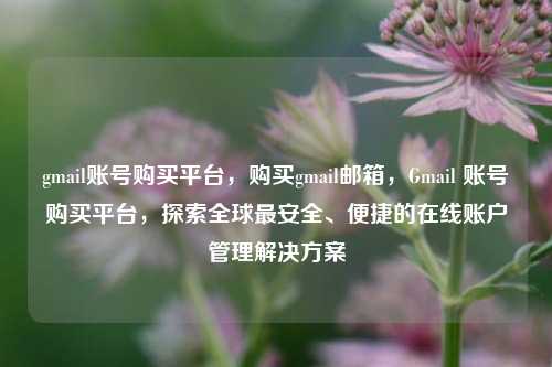 gmail账号购买平台，购买gmail邮箱	，Gmail 账号购买平台，探索全球最安全、便捷的在线账户管理解决方案  第1张