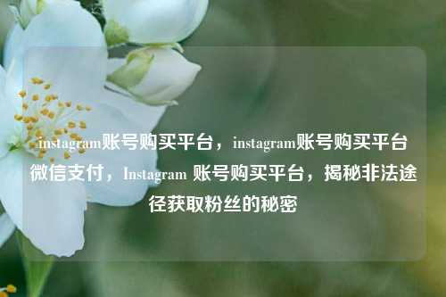instagram账号购买平台，instagram账号购买平台微信支付，Instagram 账号购买平台，揭秘非法途径获取粉丝的秘密