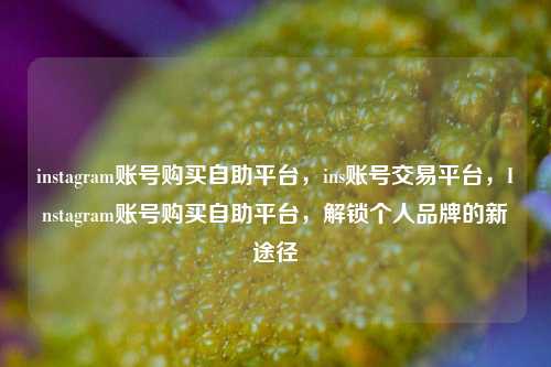 instagram账号购买自助平台，ins账号交易平台，Instagram账号购买自助平台，解锁个人品牌的新途径