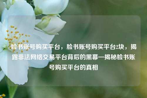 脸书账号购买平台，脸书账号购买平台2块，揭露非法网络交易平台背后的黑幕—揭秘脸书账号购买平台的真相