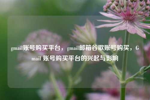 gmail账号购买平台，gmail邮箱谷歌账号购买，Gmail 账号购买平台的兴起与影响