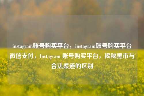 instagram账号购买平台，instagram账号购买平台微信支付，Instagram 账号购买平台，揭秘黑市与合法渠道的区别