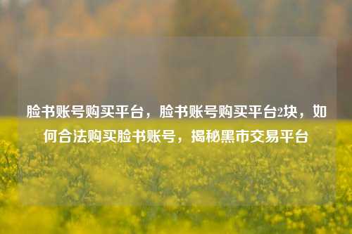 脸书账号购买平台	，脸书账号购买平台2块，如何合法购买脸书账号，揭秘黑市交易平台  第1张