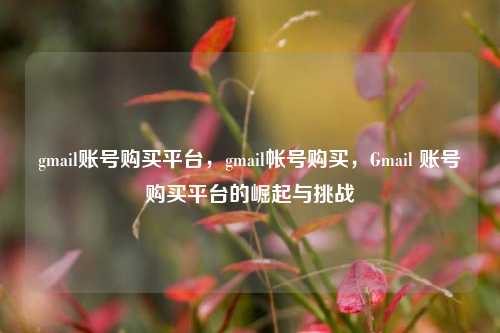 gmail账号购买平台，gmail帐号购买，Gmail 账号购买平台的崛起与挑战