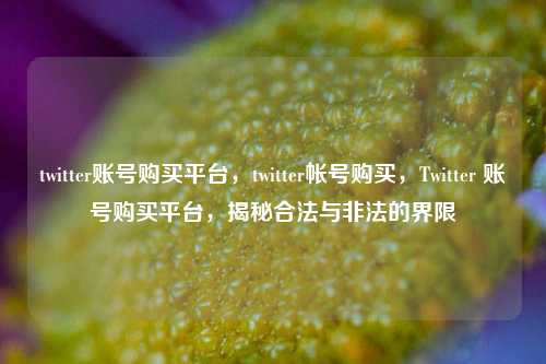 twitter账号购买平台，twitter帐号购买，Twitter 账号购买平台	，揭秘合法与非法的界限  第1张