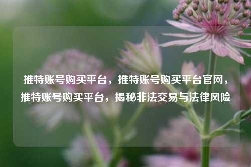 推特账号购买平台，推特账号购买平台官网，推特账号购买平台，揭秘非法交易与法律风险