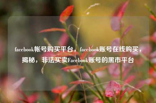 facebook帐号购买平台，facebook账号在线购买，揭秘，非法买卖Facebook账号的黑市平台