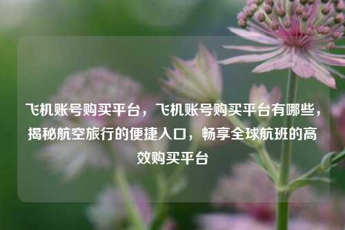 飞机账号购买平台，飞机账号购买平台有哪些，揭秘航空旅行的便捷入口，畅享全球航班的高效购买平台