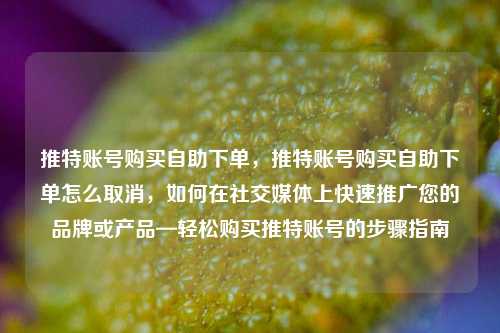 推特账号购买自助下单，推特账号购买自助下单怎么取消，如何在社交媒体上快速推广您的品牌或产品—轻松购买推特账号的步骤指南