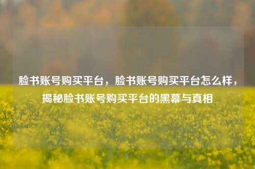 脸书账号购买平台，脸书账号购买平台怎么样，揭秘脸书账号购买平台的黑幕与真相