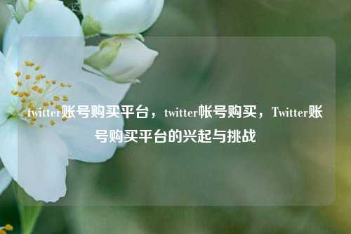 twitter账号购买平台，twitter帐号购买，Twitter账号购买平台的兴起与挑战  第1张