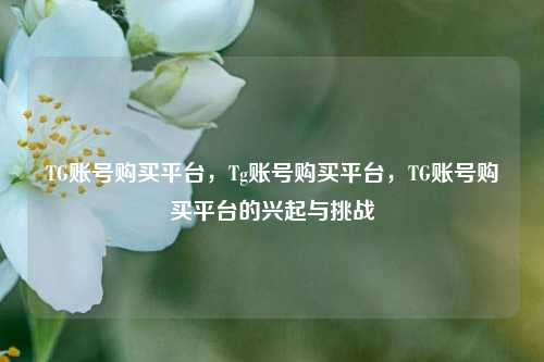 TG账号购买平台，Tg账号购买平台，TG账号购买平台的兴起与挑战