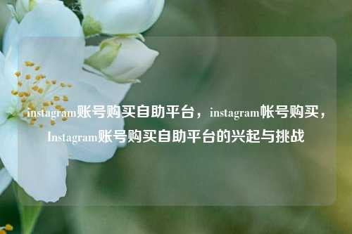 instagram账号购买自助平台，instagram帐号购买，Instagram账号购买自助平台的兴起与挑战