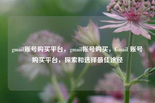 gmail账号购买平台	，gmail帐号购买，Gmail 账号购买平台，探索和选择最佳途径  第1张