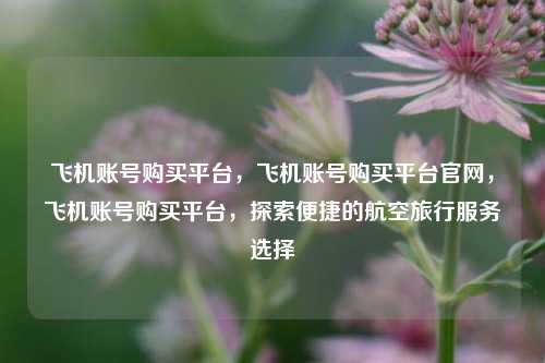 飞机账号购买平台，飞机账号购买平台官网，飞机账号购买平台，探索便捷的航空旅行服务选择