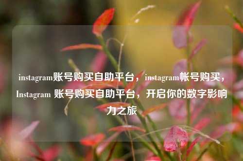 instagram账号购买自助平台，instagram帐号购买，Instagram 账号购买自助平台，开启你的数字影响力之旅