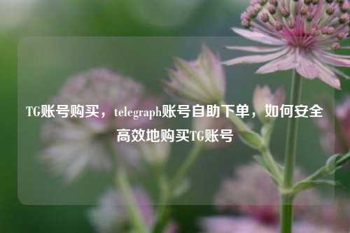 TG账号购买，telegraph账号自助下单，如何安全高效地购买TG账号