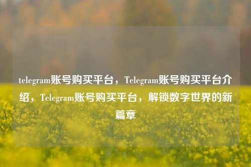 telegram账号购买平台，Telegram账号购买平台介绍，Telegram账号购买平台，解锁数字世界的新篇章