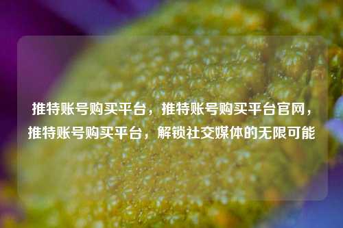 推特账号购买平台，推特账号购买平台官网，推特账号购买平台，解锁社交媒体的无限可能