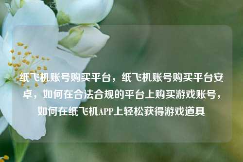 纸飞机账号购买平台，纸飞机账号购买平台安卓，如何在合法合规的平台上购买游戏账号，如何在纸飞机APP上轻松获得游戏道具