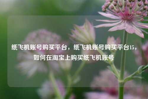 纸飞机账号购买平台，纸飞机账号购买平台15，如何在淘宝上购买纸飞机账号
