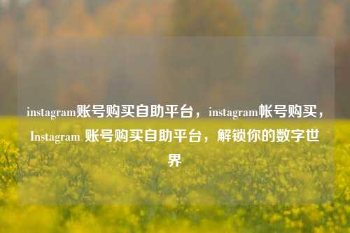 instagram账号购买自助平台，instagram帐号购买	，Instagram 账号购买自助平台，解锁你的数字世界  第1张