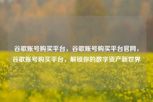 谷歌账号购买平台，谷歌账号购买平台官网，谷歌账号购买平台，解锁你的数字资产新世界