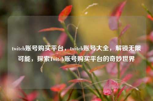 twitch账号购买平台，twitch账号大全，解锁无限可能，探索Twitch账号购买平台的奇妙世界