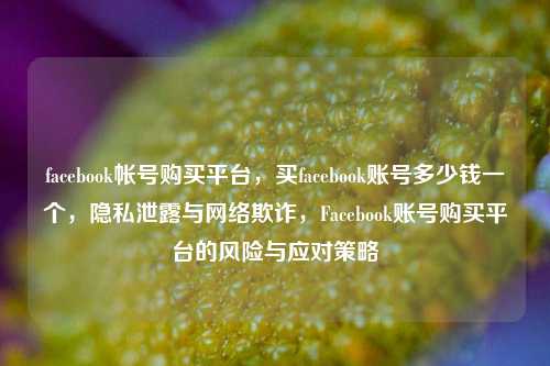 facebook帐号购买平台	，买facebook账号多少钱一个，隐私泄露与网络欺诈，Facebook账号购买平台的风险与应对策略  第1张