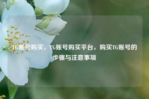 TG账号购买	，TG账号购买平台，购买TG账号的步骤与注意事项  第1张