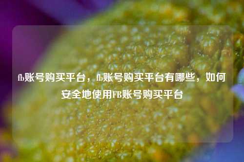fb账号购买平台，fb账号购买平台有哪些	，如何安全地使用FB账号购买平台  第1张