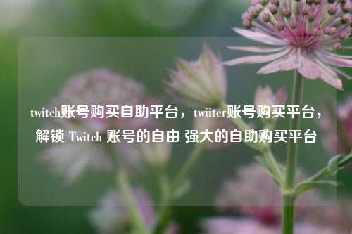 twitch账号购买自助平台，twiiter账号购买平台，解锁 Twitch 账号的自由 强大的自助购买平台